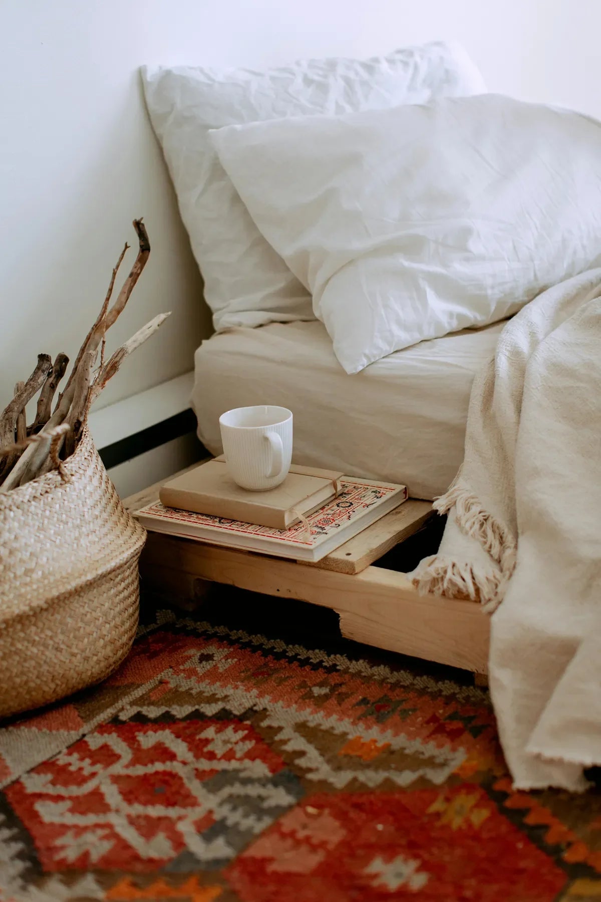 Cozy Collections