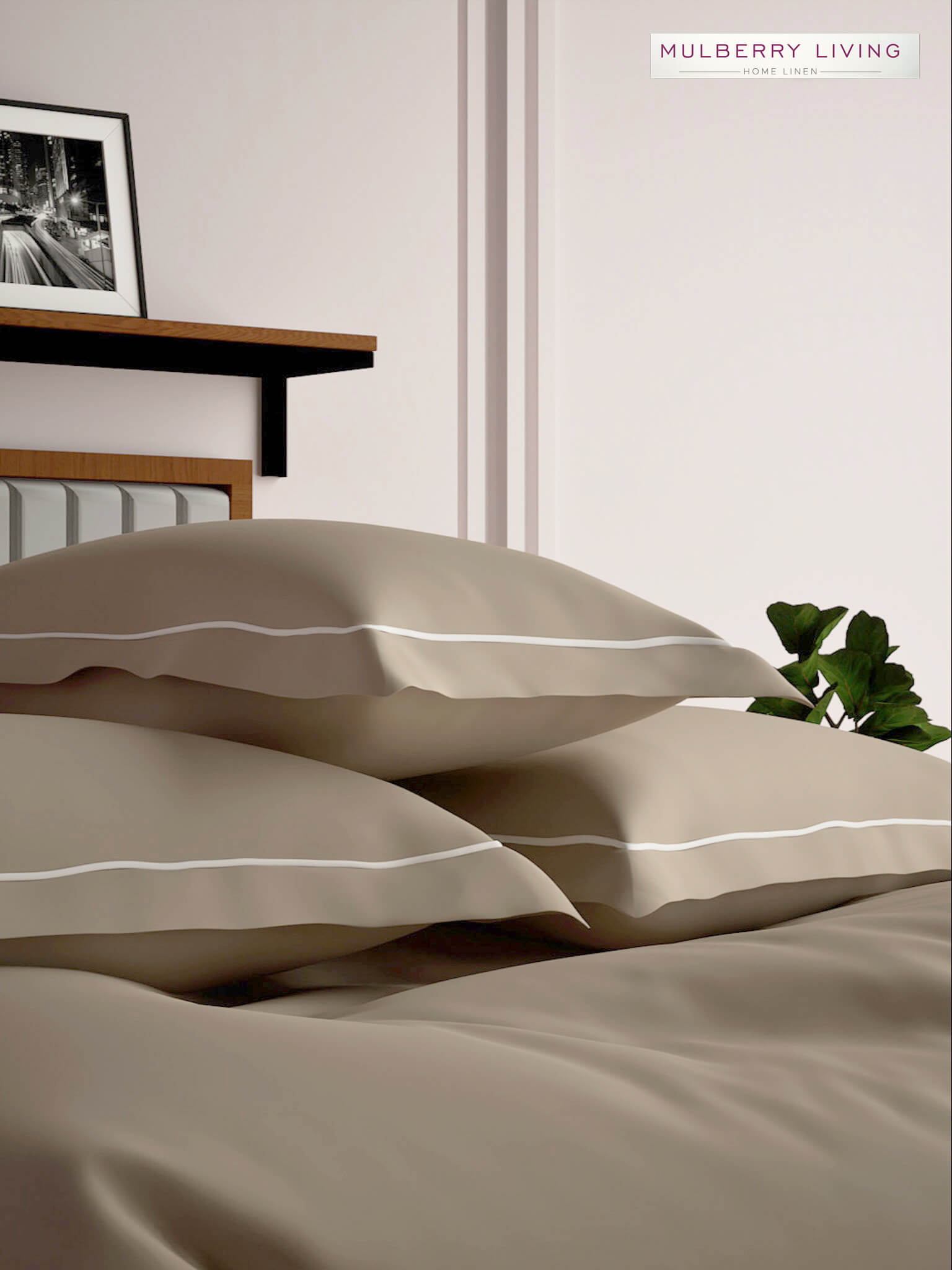 Serenity Solids 100% Cotton Satin Weave Super King Elastic Fitted Bedsheet Set with 2 Pillow Covers - 250TC, 78 x 72 x 12 Inches