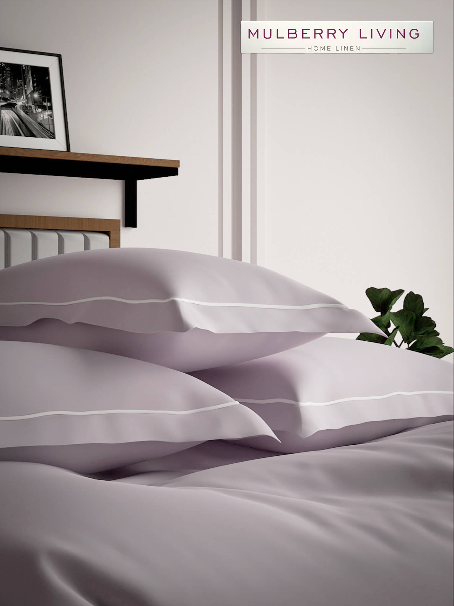 Serenity Solids 100% Cotton Satin Weave Super King Elastic Fitted Bedsheet Set with 2 Pillow Covers - 250TC, 78 x 72 x 12 Inches