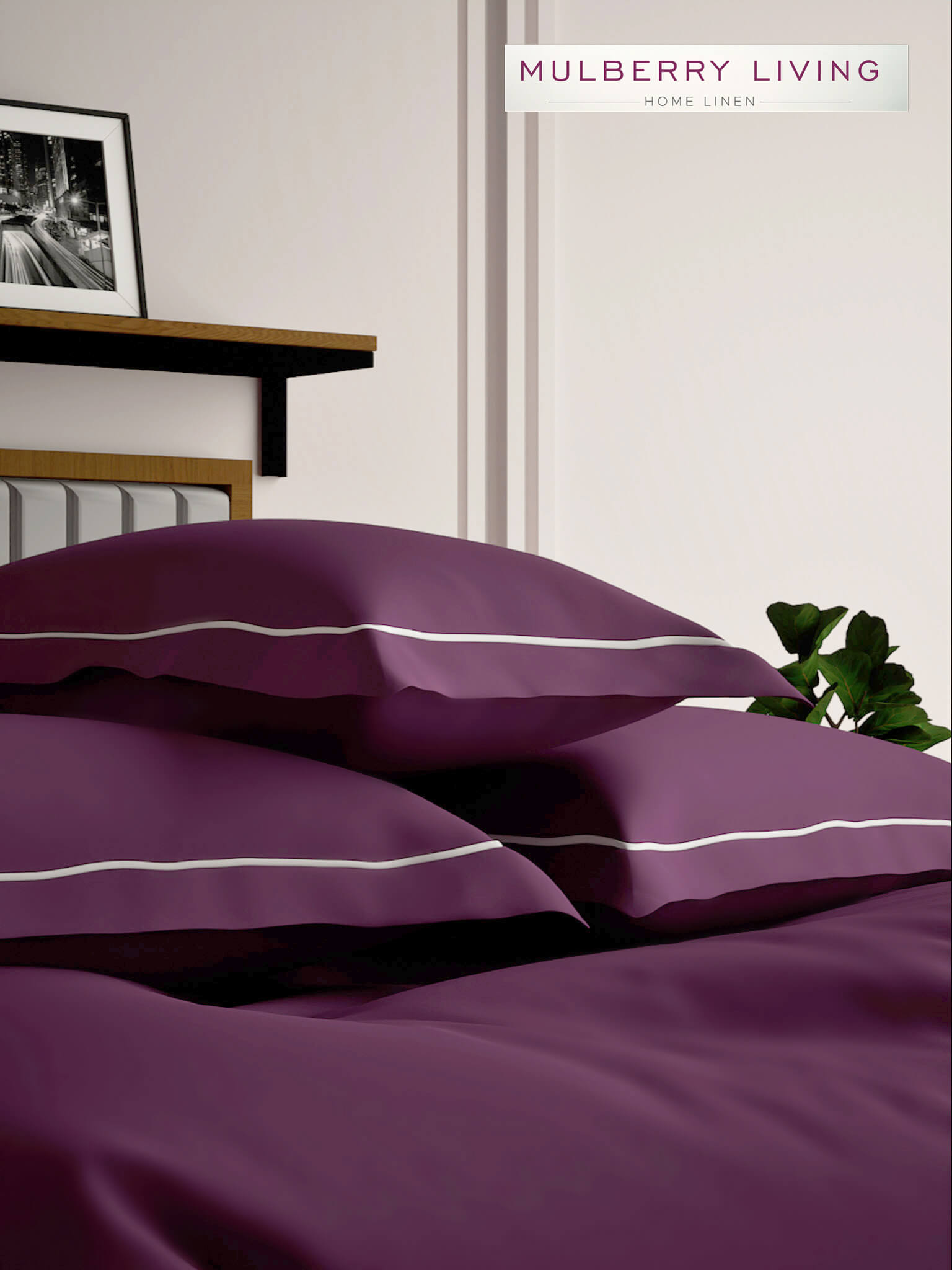 Serenity Solids 100% Cotton Satin Weave Super King Elastic Fitted Bedsheet Set with 2 Pillow Covers - 250TC, 78 x 72 x 12 Inches