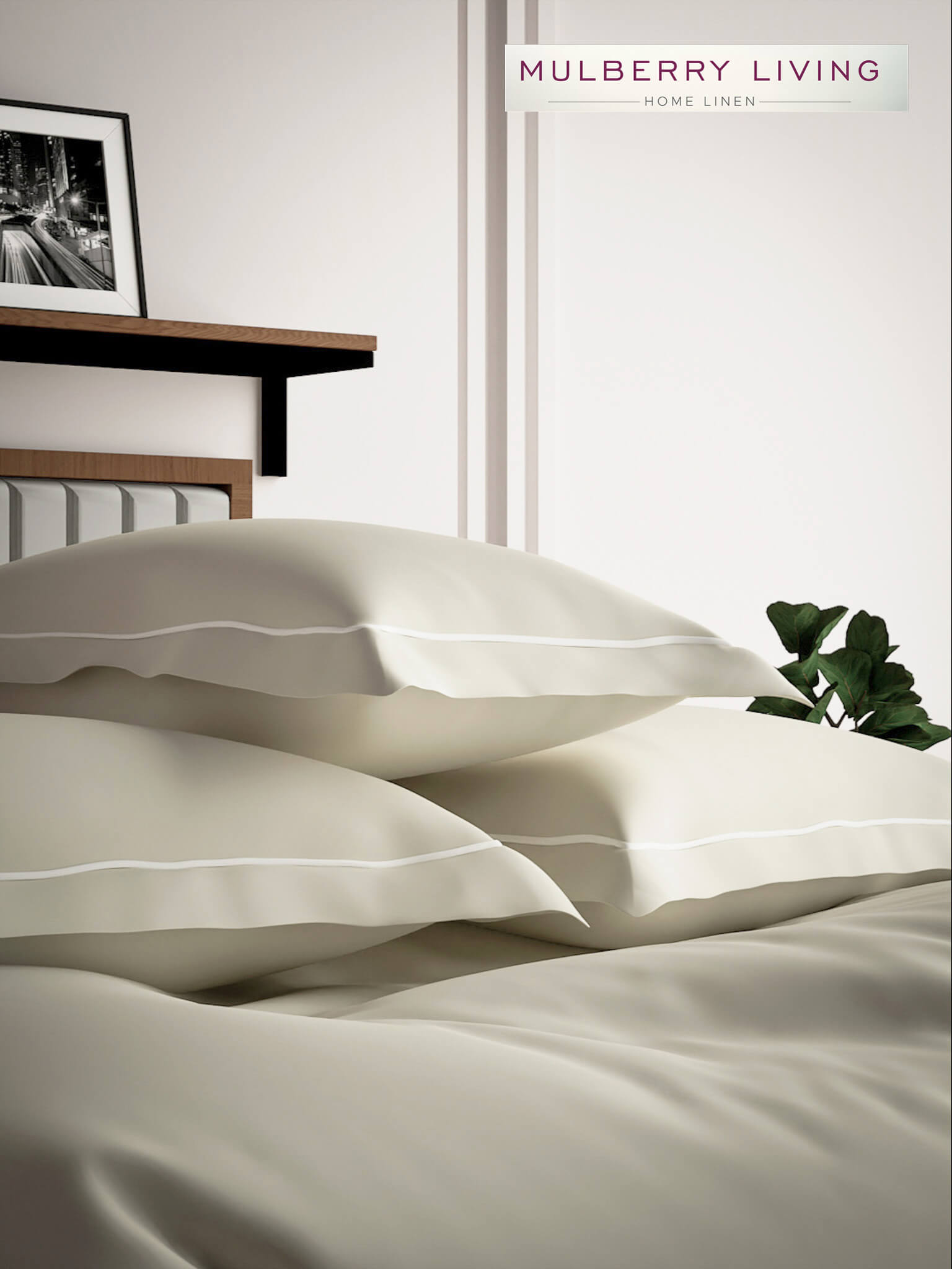 Serenity Solids 100% Cotton Satin Weave Super King Elastic Fitted Bedsheet Set with 2 Pillow Covers - 250TC, 78 x 72 x 12 Inches