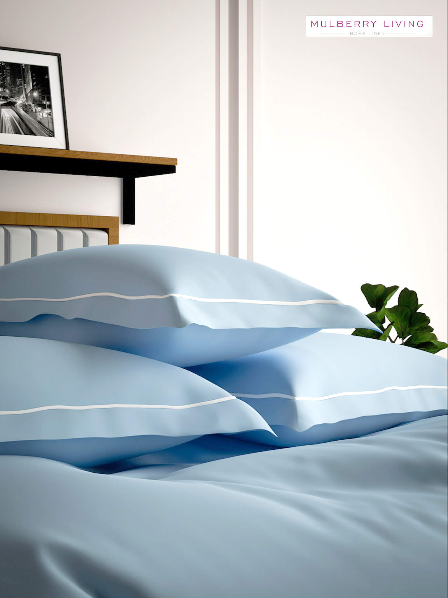 Serenity Solids Pillow Covers (Set of 2) - 100% Cotton, 250TC, Soft & Breathable