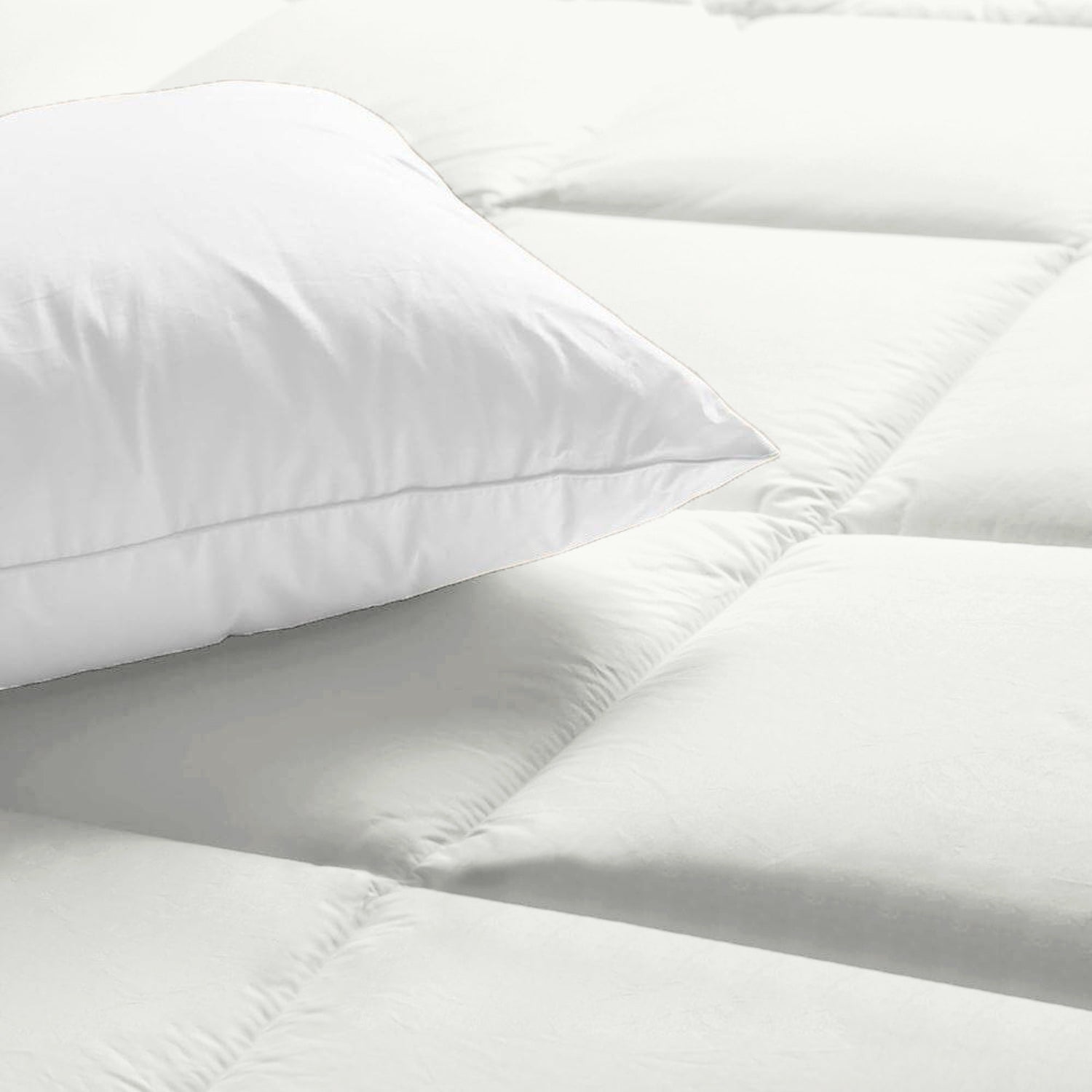Dual Essence 150 GSM Reversible Comforter